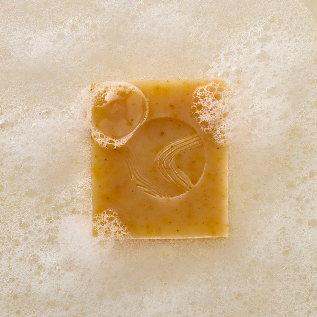 Pumpkin & Wild Carrot Brightening Cleanser