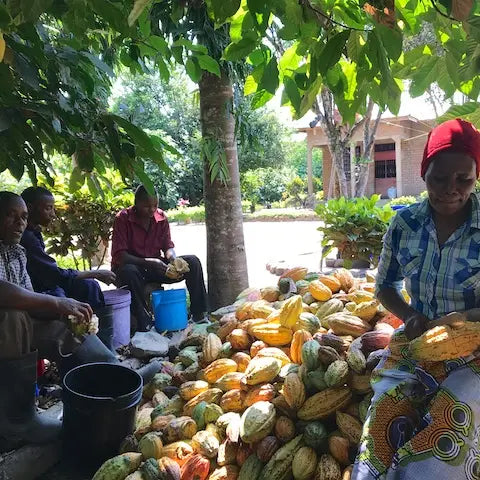 Thriving Tanzania 100% Cacao