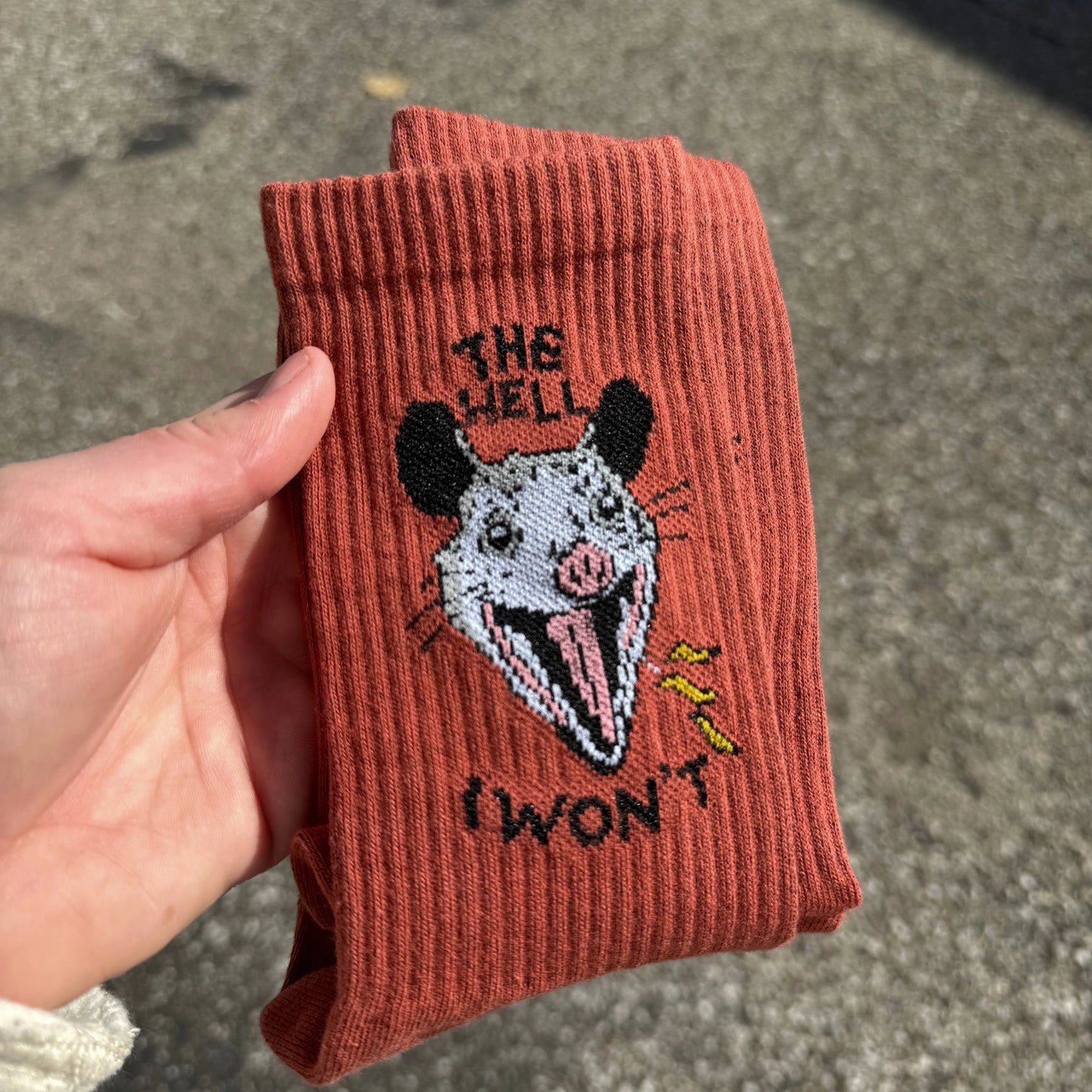 Hell I Won't Socks