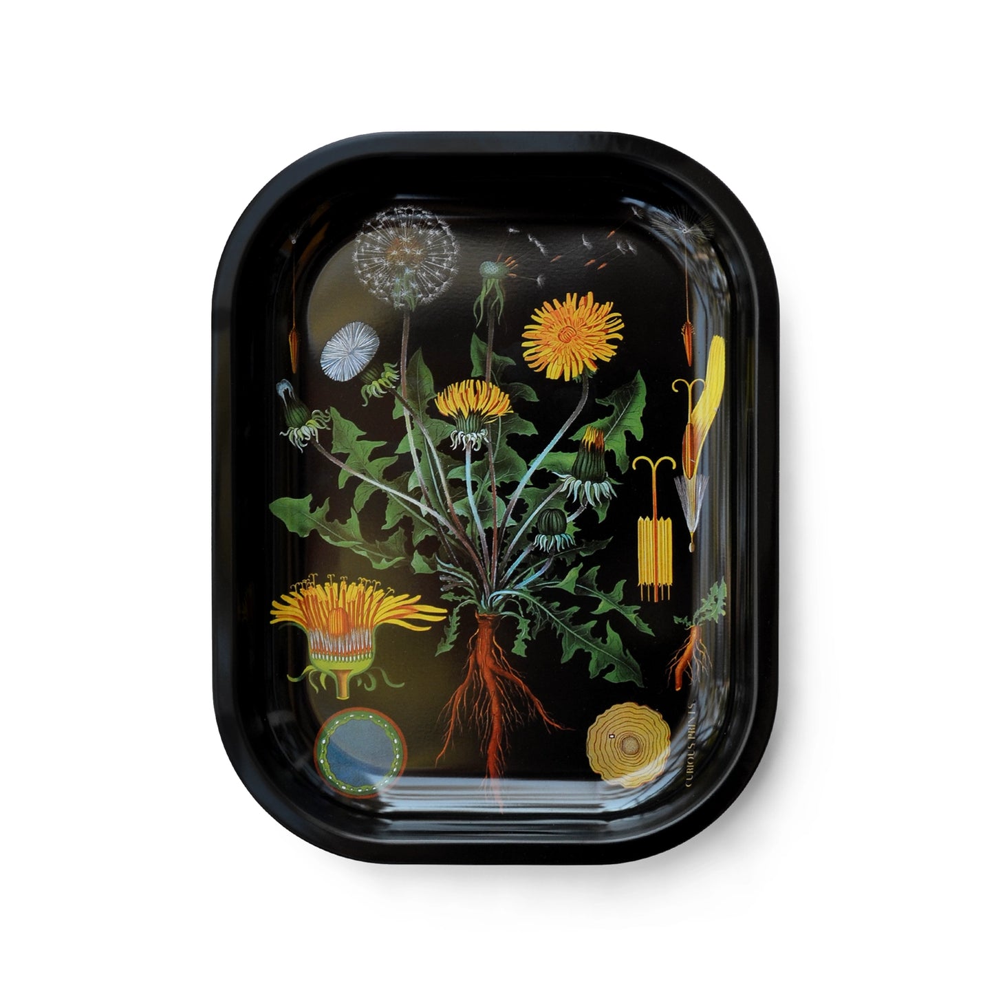 Vintage Botanical Metal Tray
