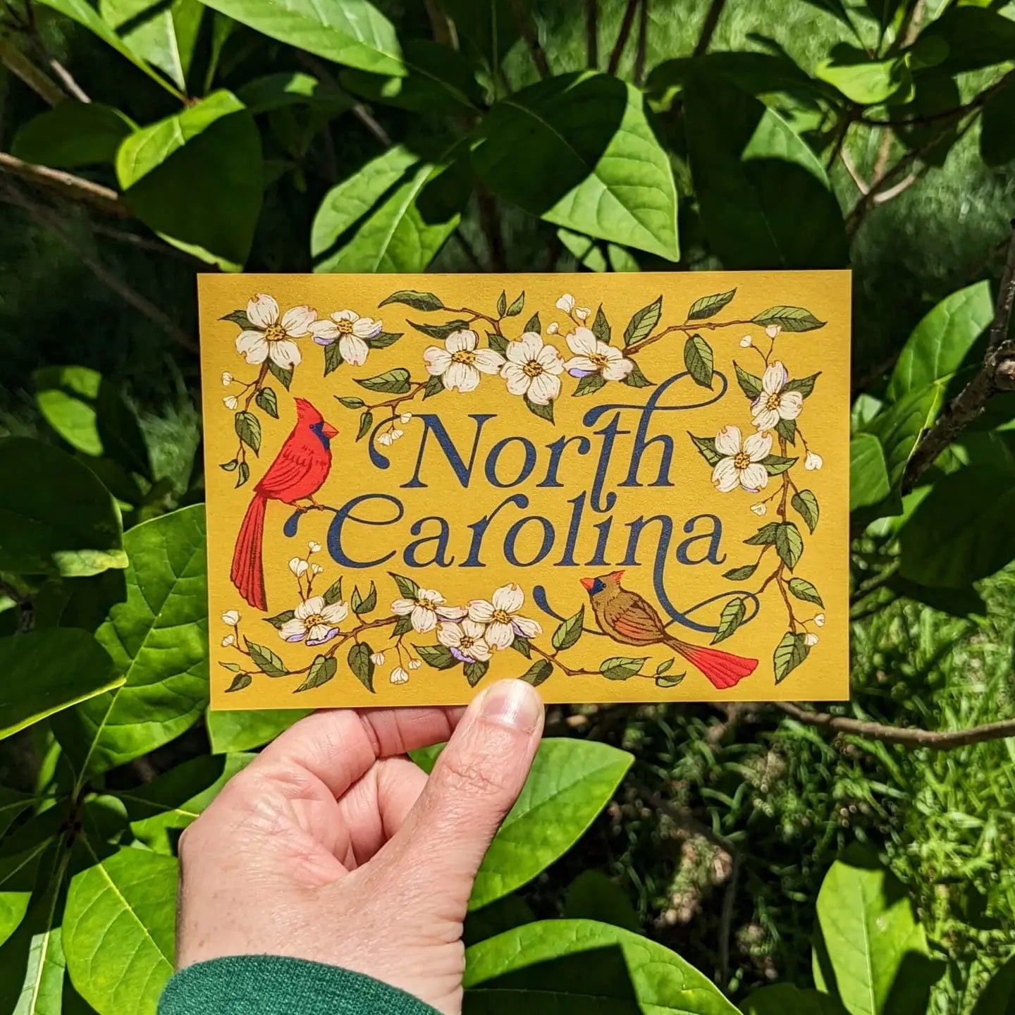 North Carolina Postcard