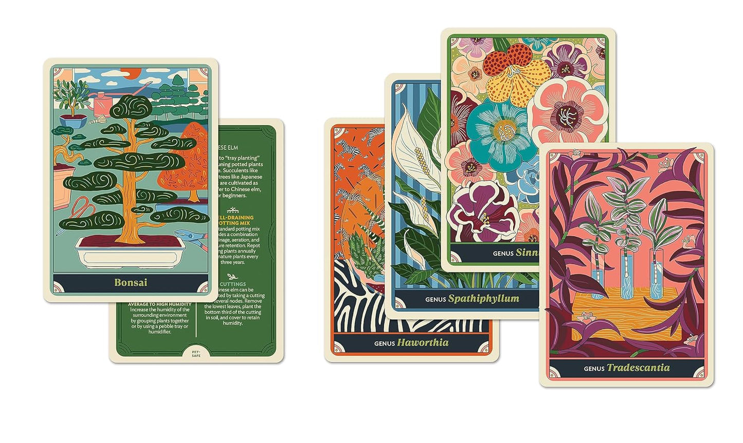 The Happy Houseplant Deck
