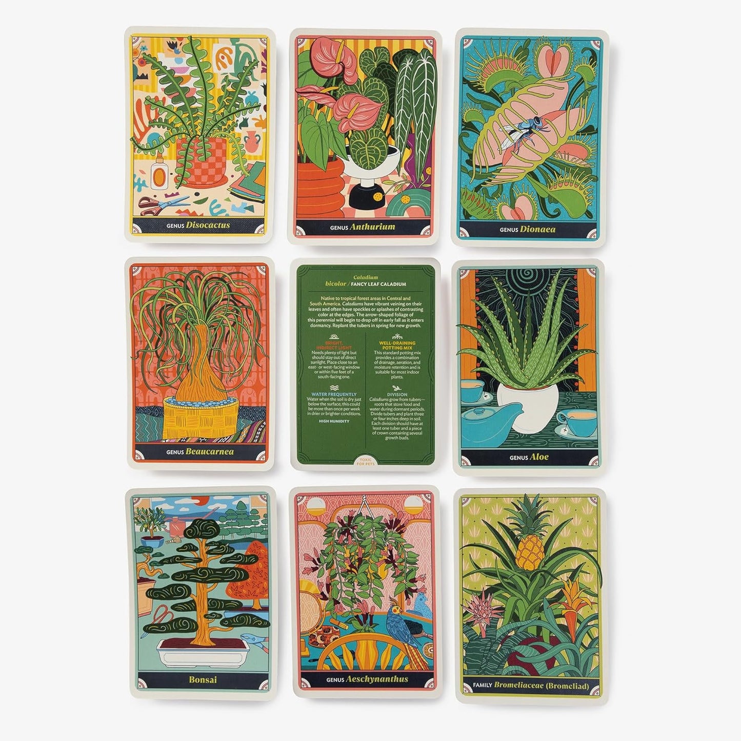 The Happy Houseplant Deck