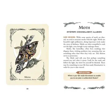 Green Witch's Oracle Deck By Arin Murphy-Hiscock
