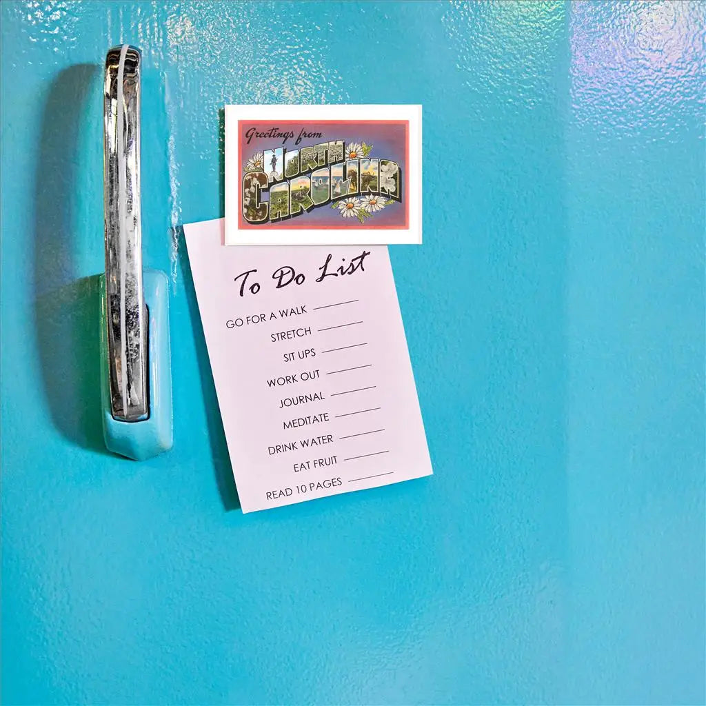 NC 261 Magnet