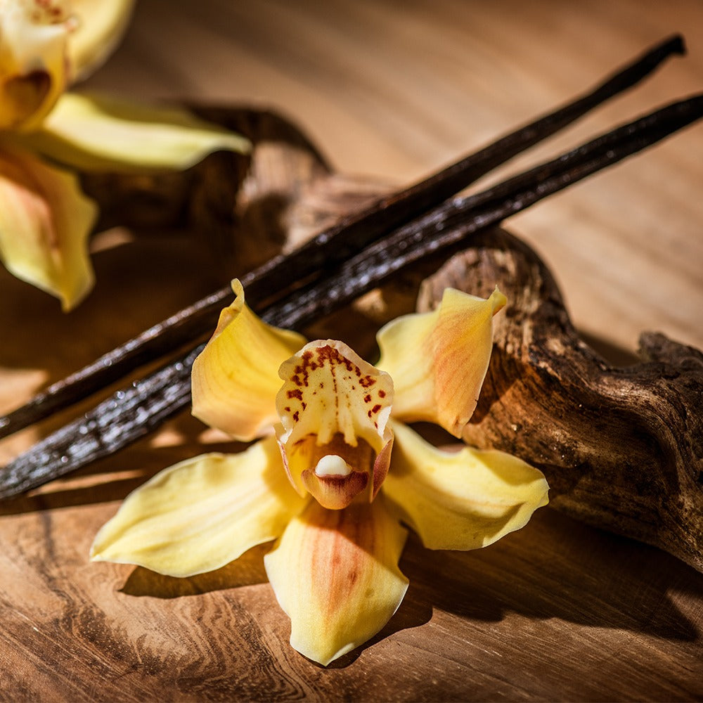 Sandalwood Vanilla Whipped Hand Lotion
