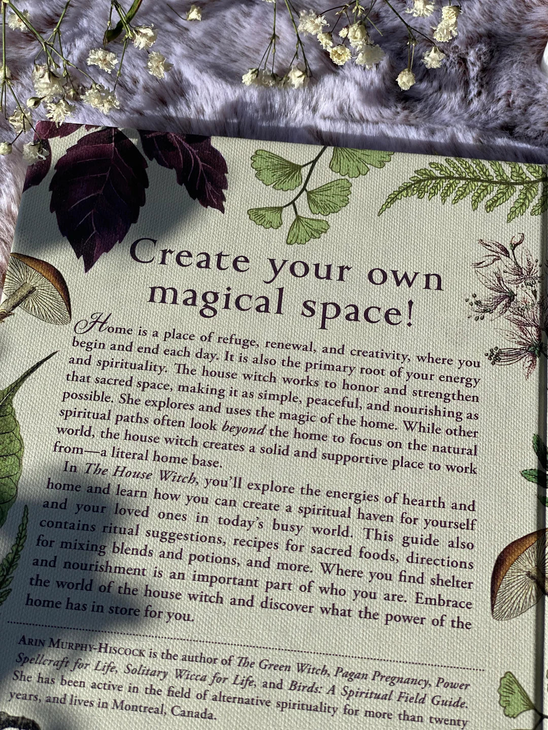 The House Witch Book