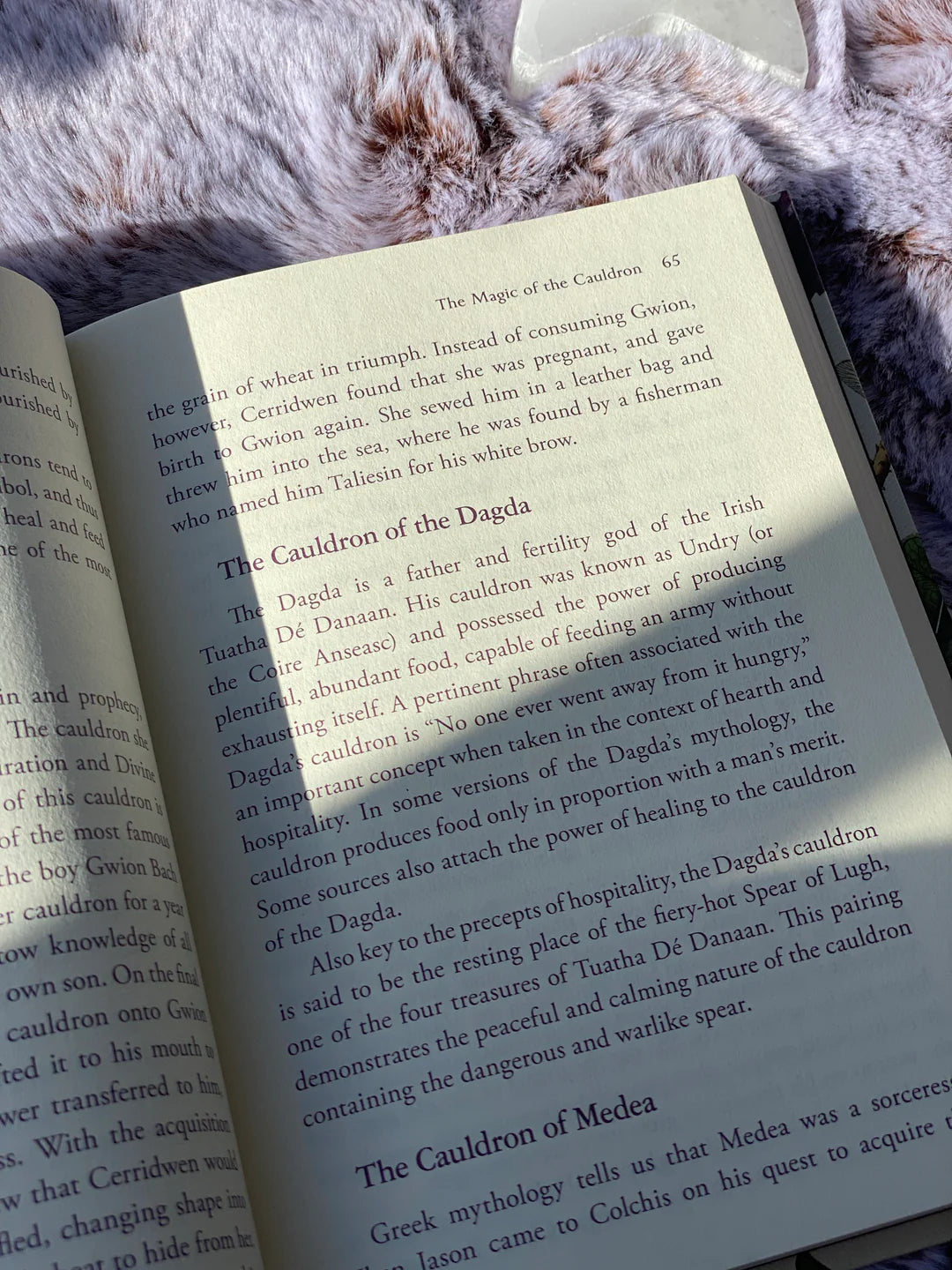 The House Witch Book