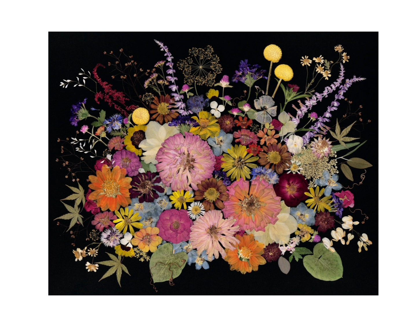 Dandelion Fox 16x20 Art Prints