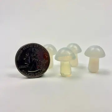 Mini Magic Mushroom Crystals