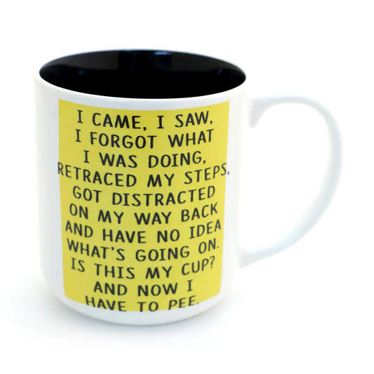 I Came I Saw Mug
