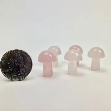 Mini Magic Mushroom Crystals