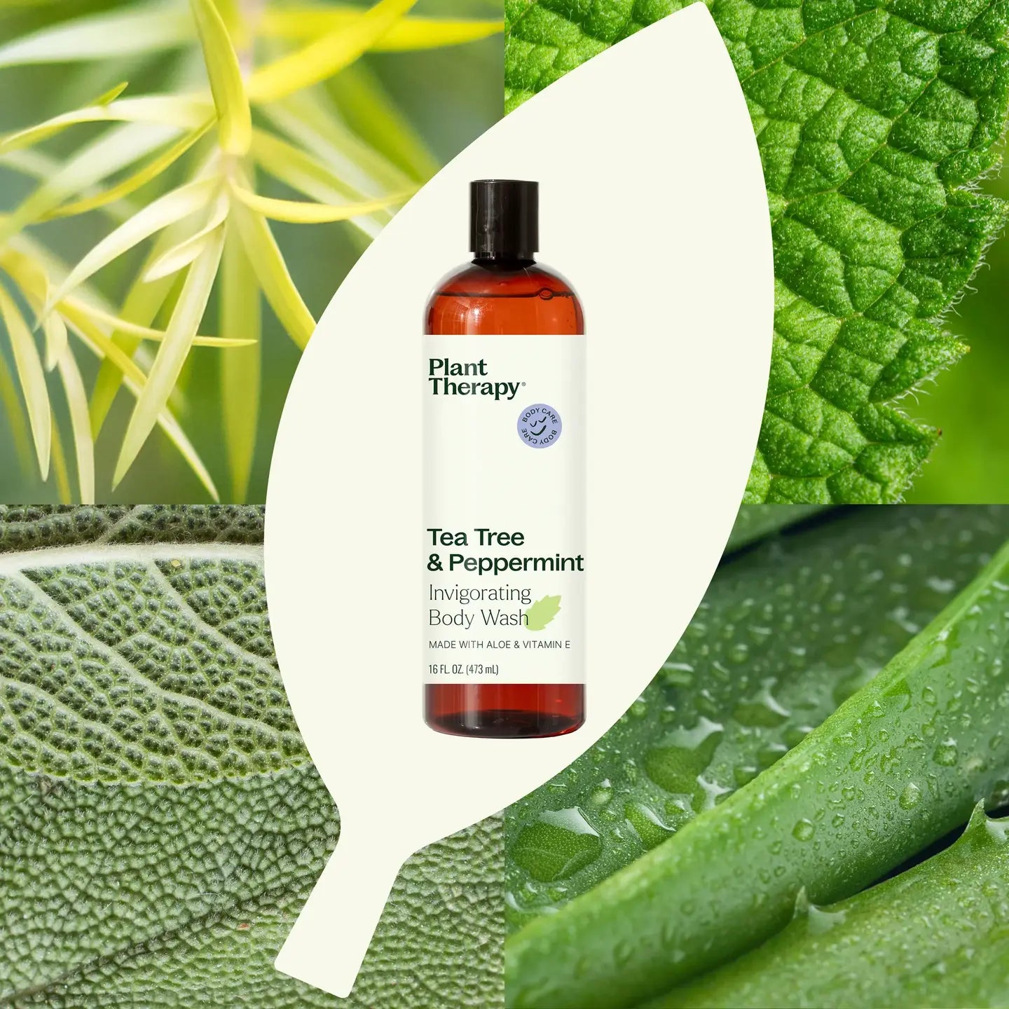 Tea Tree and Peppermint Body Wash