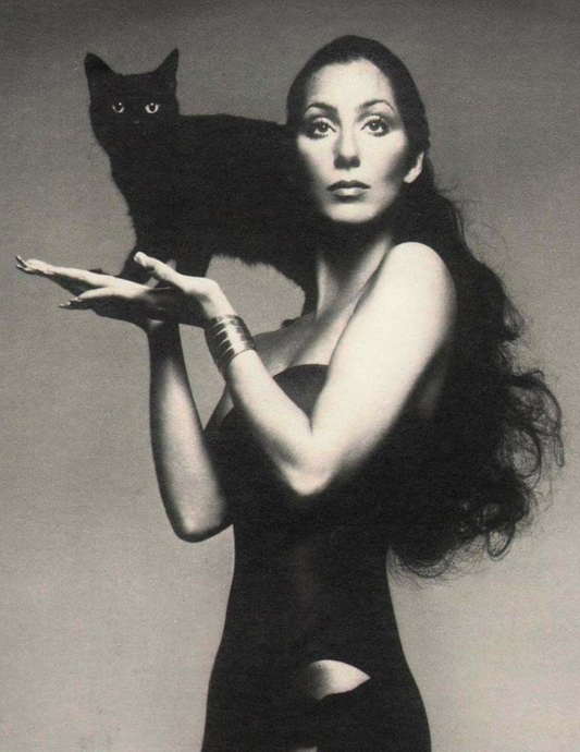 Cher Postcard