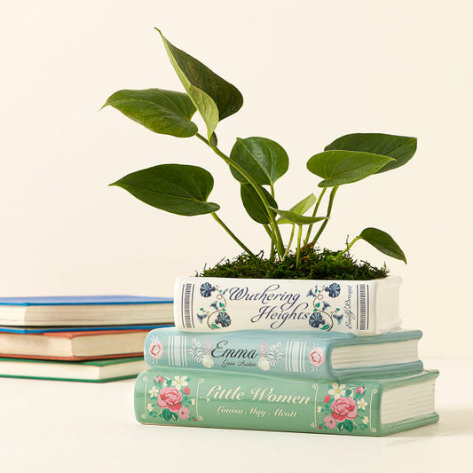 Planter, Stacked Books