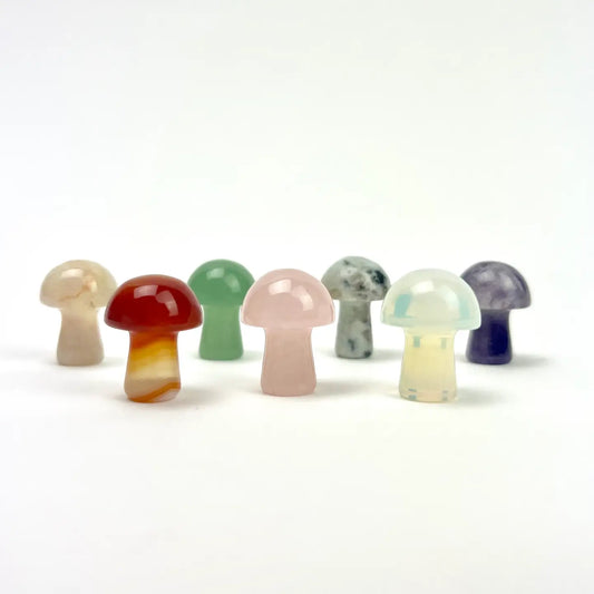 Mini Magic Mushroom Crystals