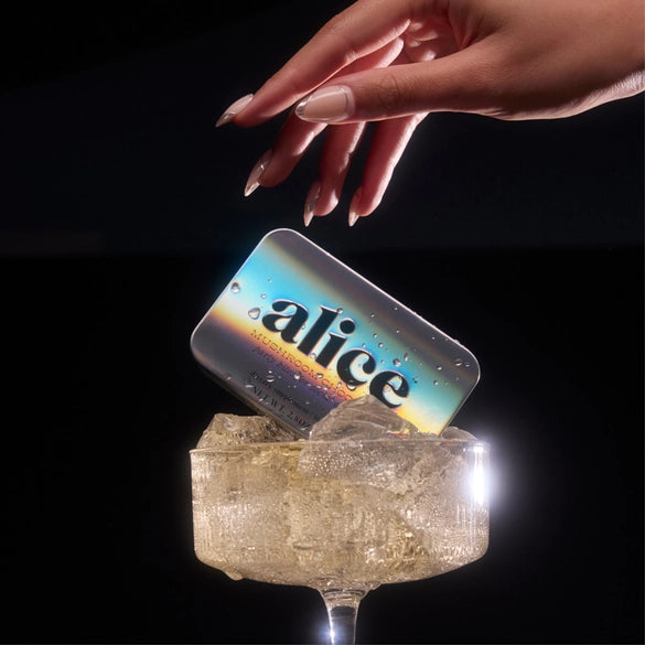 Party Trick - Mushroom Chocolate Supplement For Mood