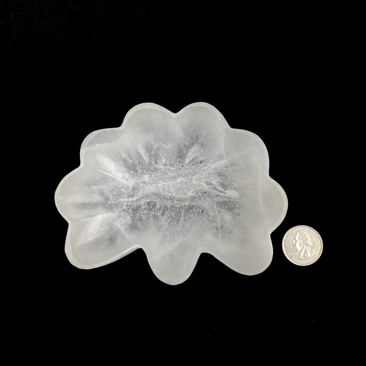 Selenite Seashell Charging Bowl