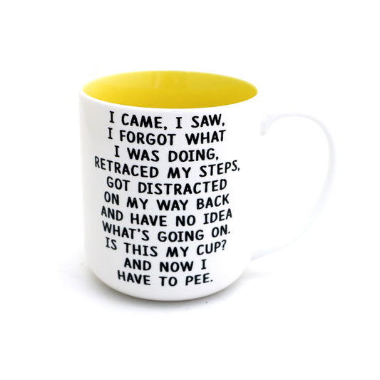 I Came I Saw Mug