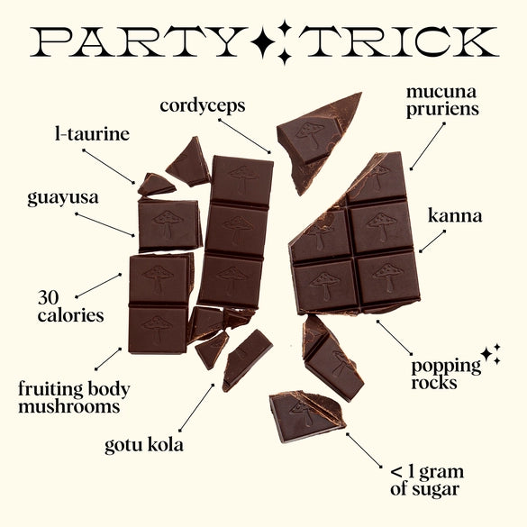 Party Trick - Mushroom Chocolate Supplement For Mood