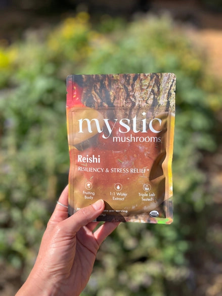 Mystic Mushrooms - Reishi