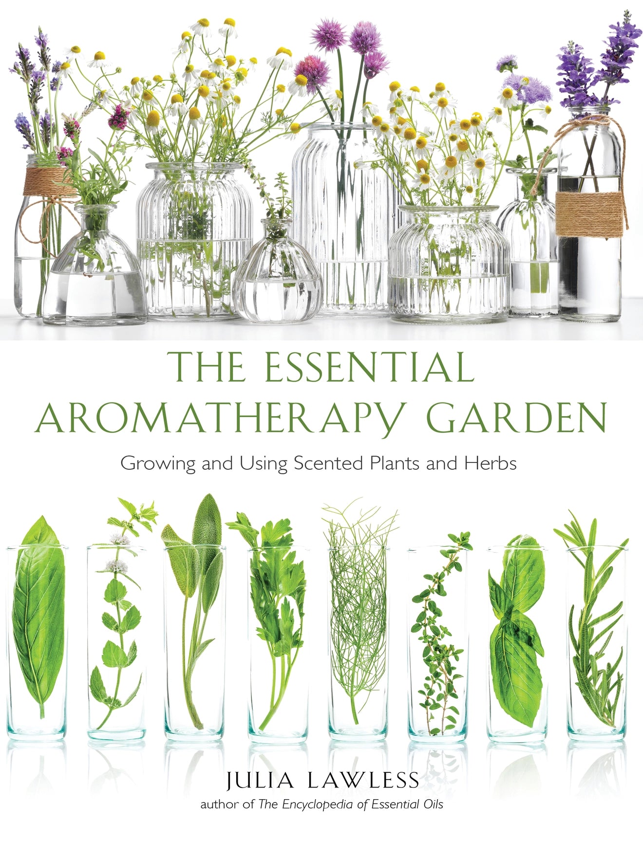 Essential Aromatherapy Garden