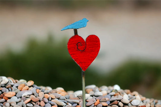 Bird Heart Plant Stake