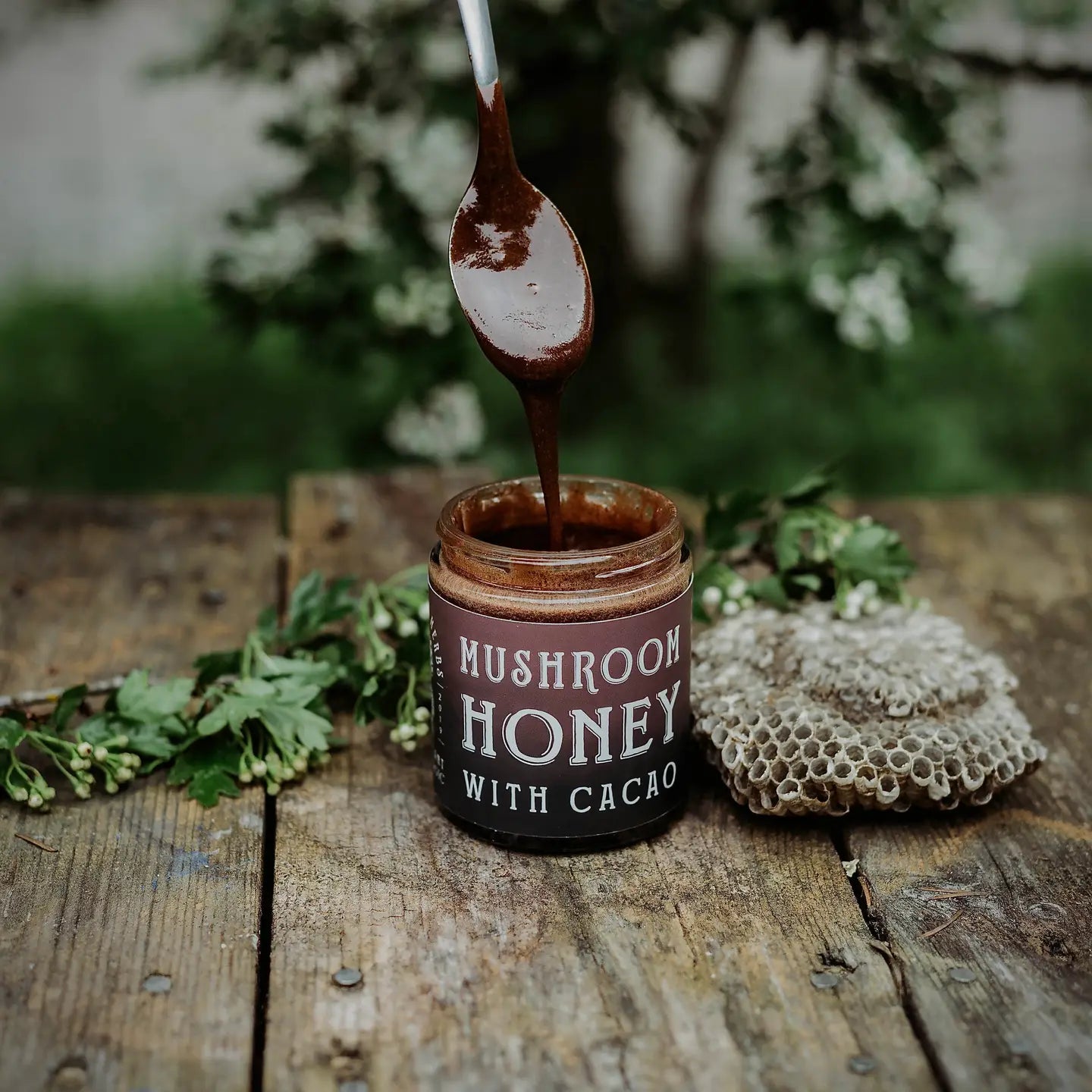 Mushroom & Cacao Honey