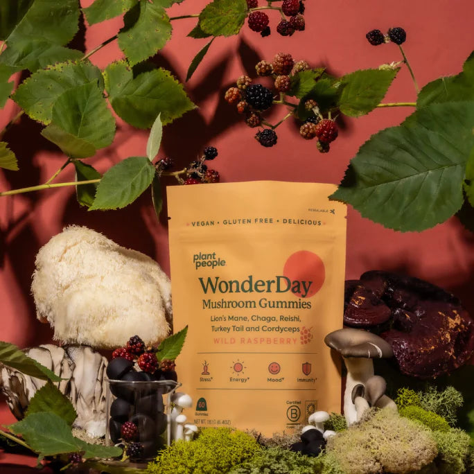 Wonderday Mushroom Gummies