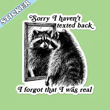 Funny Raccoon Sticker