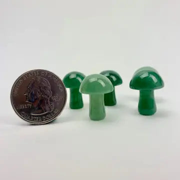 Mini Magic Mushroom Crystals