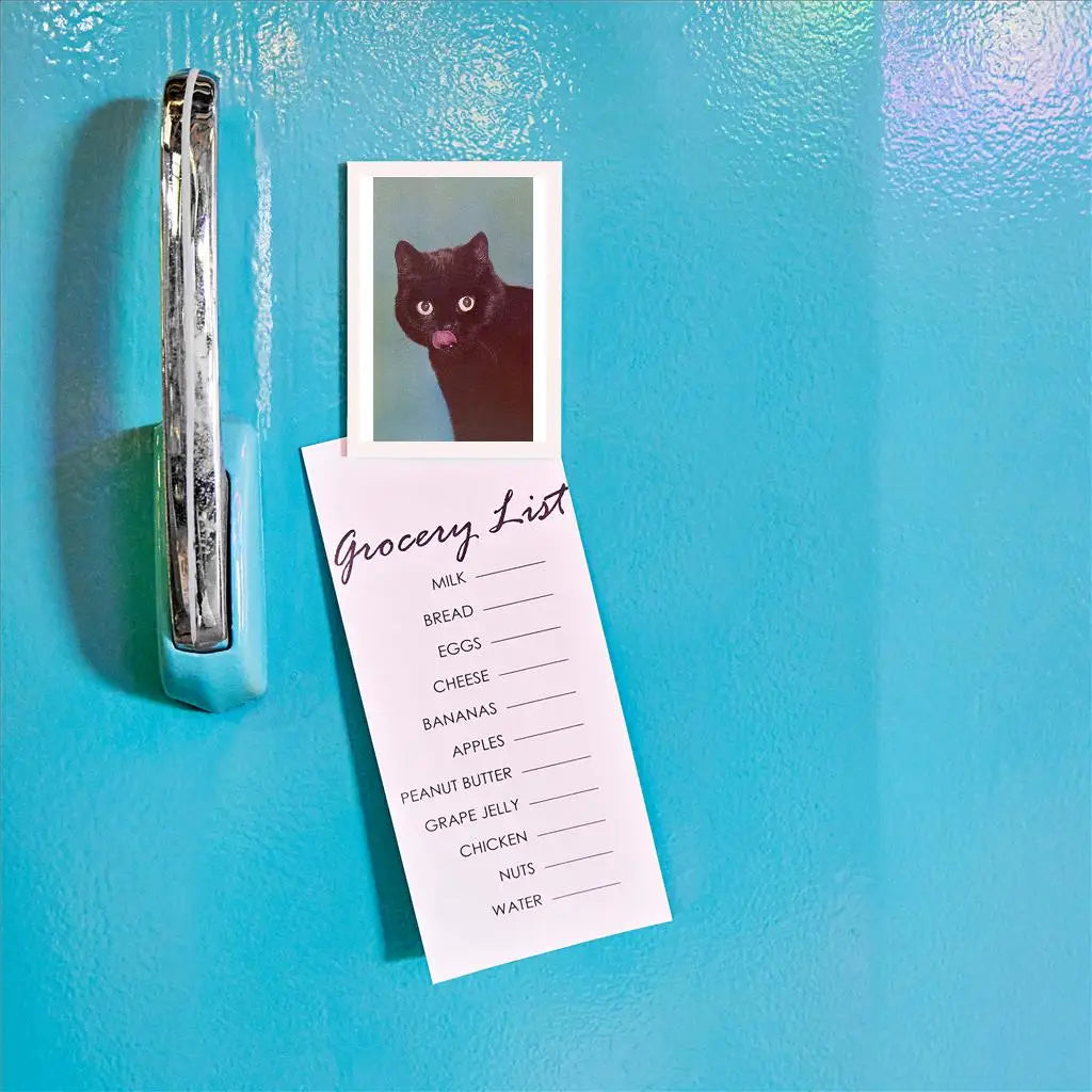 Black Cat Magnet