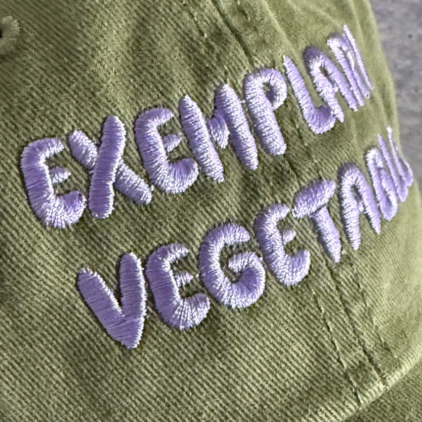 Exemplary Vegetable Baseball Cap