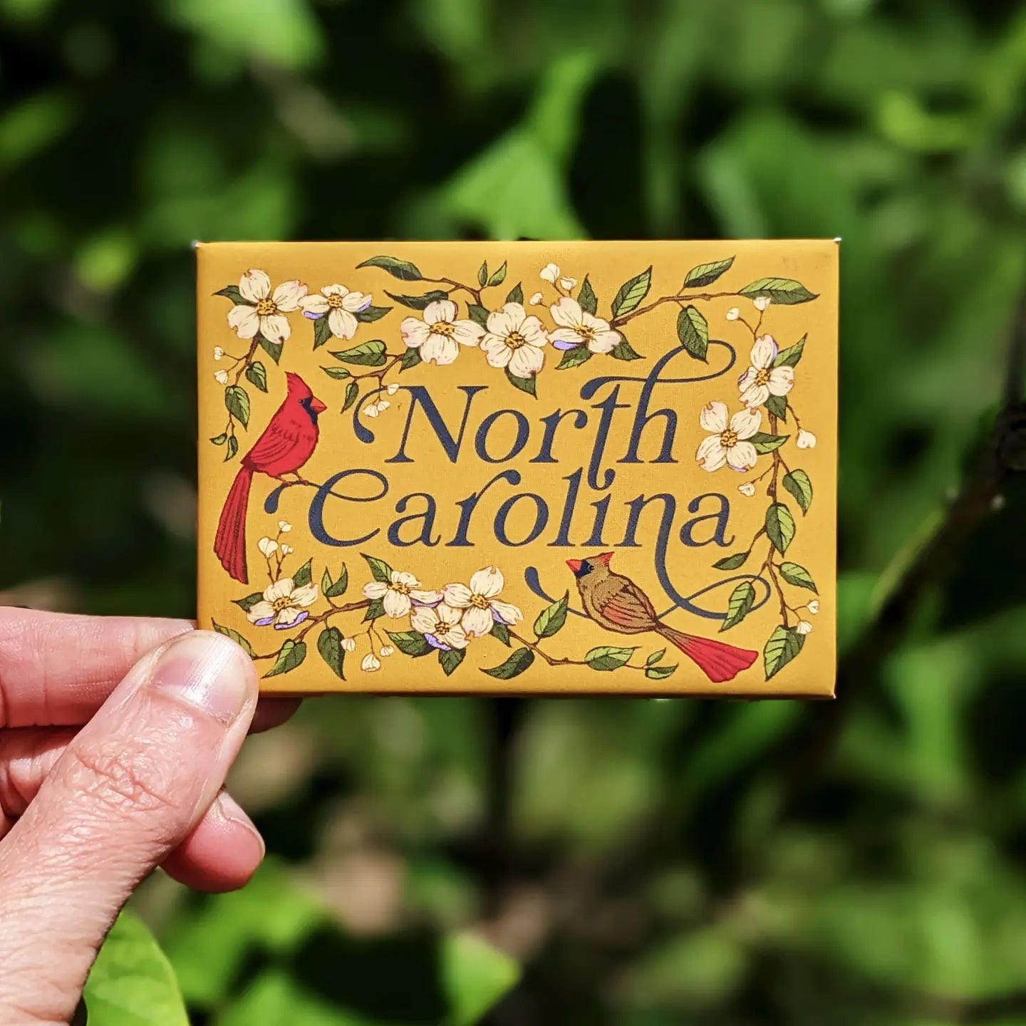 North Carolina Magnet