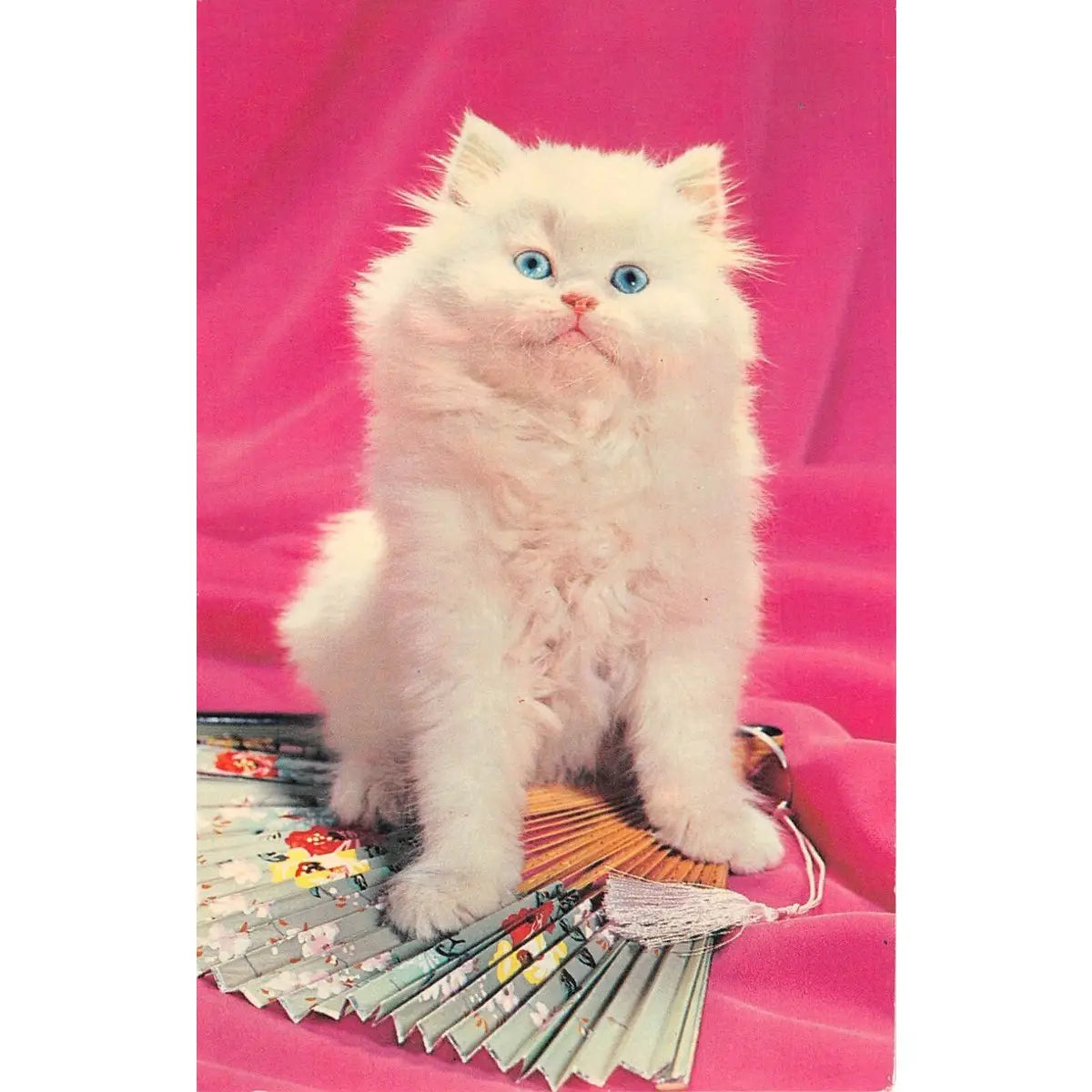Fluffy Cat Magnet
