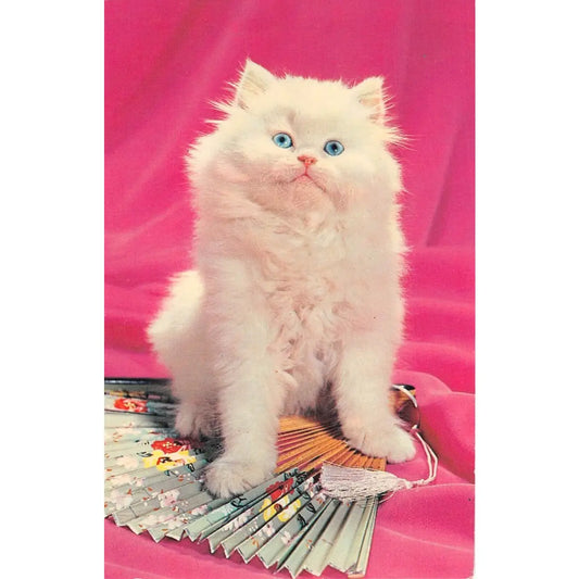 Fluffy Cat Magnet