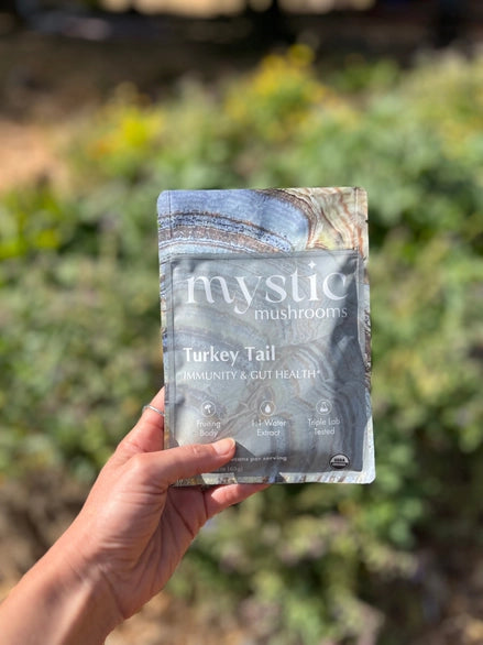 Mystic Mushrooms - Turkey Tail